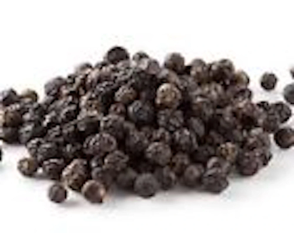 Black Pepper Live Plant (Piper Nigrum) - Edible Perennial Starter Plant - Image 5