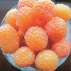 Honey Queen Everbearing Raspberry Live Plant - Sweet Yellow Gold Berries, Zones 3-8 - Image 1