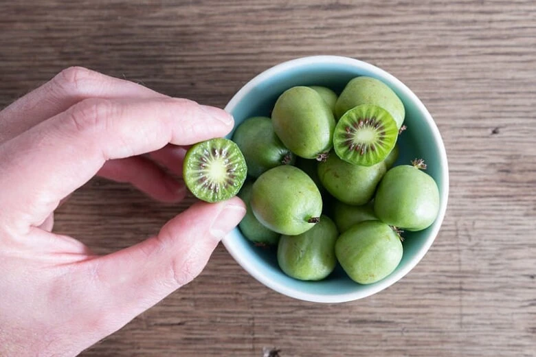 Issai Kiwi Live Plant - Self-Pollinating Vine, Fuzzless Fruit, Zones 3-8 - Image 5