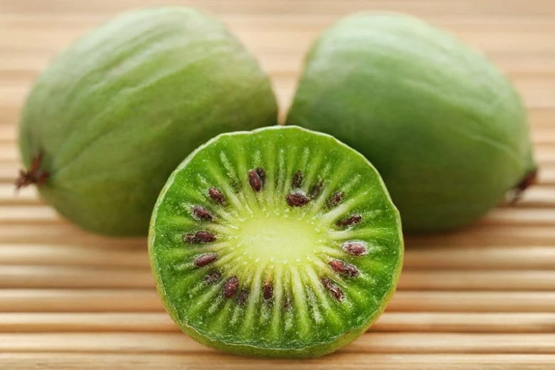 Issai Kiwi Live Plant - Self-Pollinating Vine, Fuzzless Fruit, Zones 3-8 - Image 1