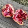 Makedonia Red Pomegranate Live Plant - Edible Bare Root Starter - Image 1