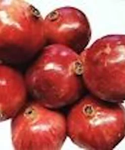 Pomegranate Live Plant - Punica Granatum Edible Fruit Tree - Zones 7-11 - Image 4
