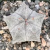Bishop's Cap Cactus Live Plant – Astrophytum Myriostigma – 4 inch or 6 inch Pot – Indoor - Image 1