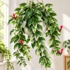 Live Variegated Lipstick Plant, 4 Inch Pot, Colorful Tropical Houseplant with Variegated Foliage for Shelves and Containers - Image 1
